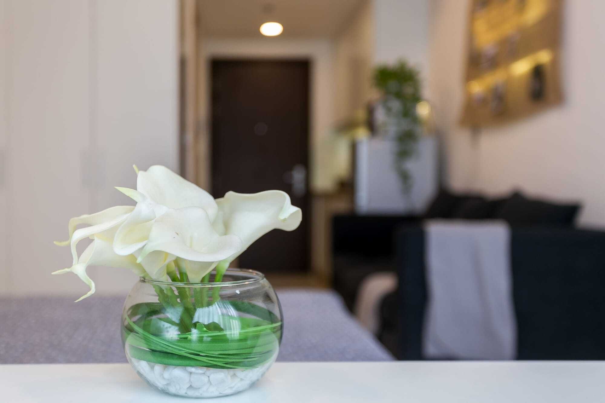 Macy Studio Apartment Хошимін Екстер'єр фото